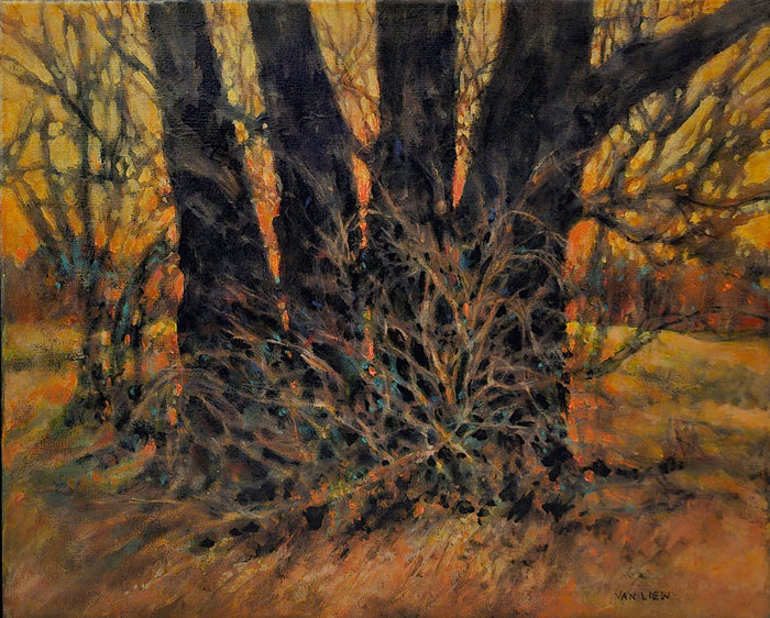 A Tribute to Tree Huggers