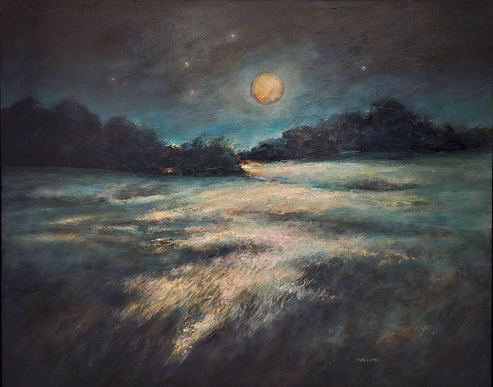 Lunar Light Show