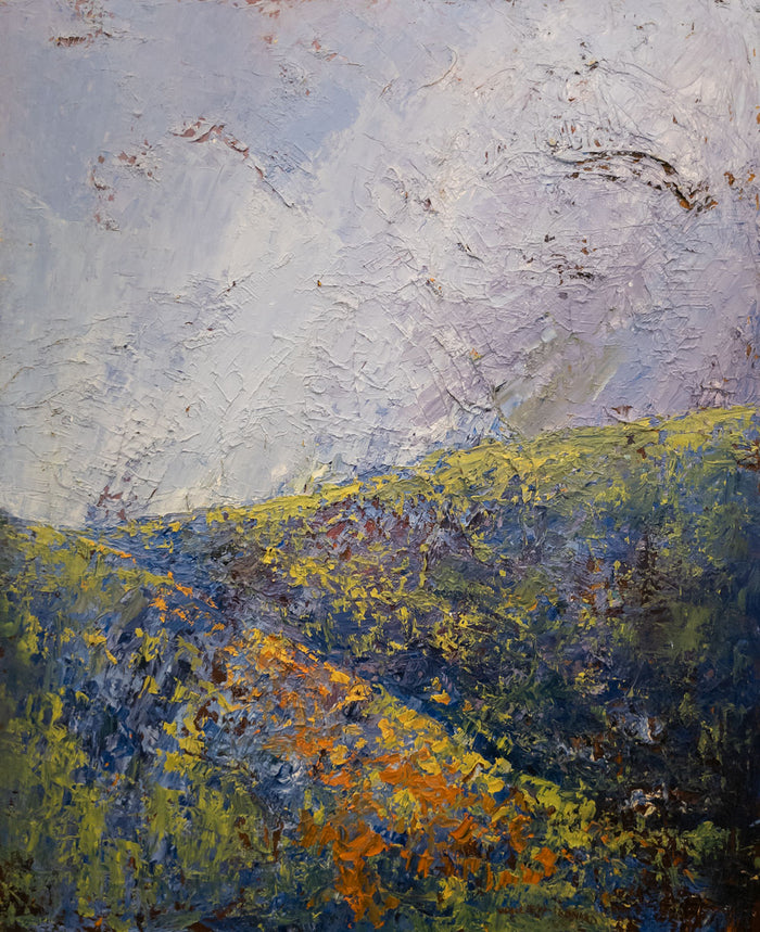 Blue Bonnets