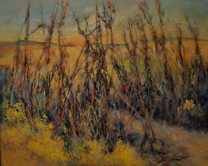 Bluestem Trail Blazers