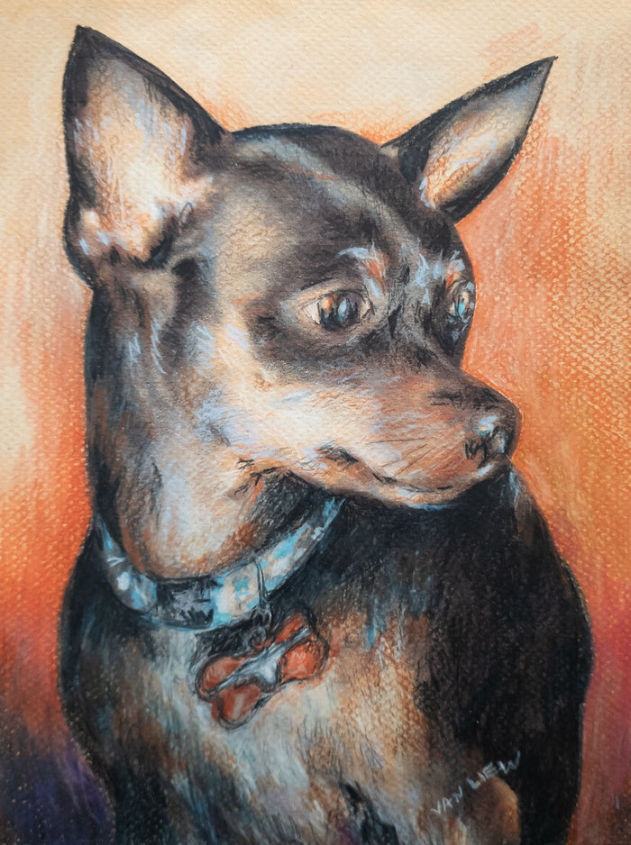 Louis 11x14