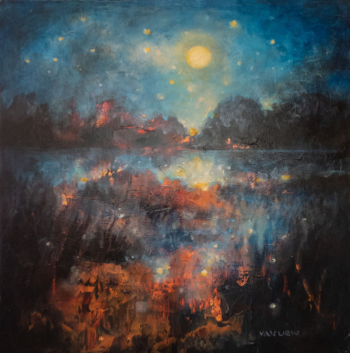 Firefly Reflections 