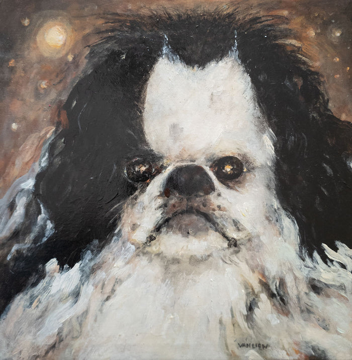Teddy the Japanese Chin